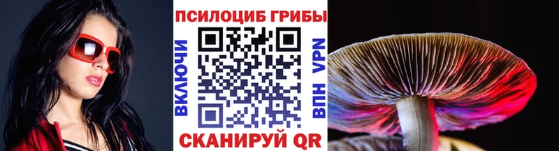 наркота  Ленинск-Кузнецкий  Галлюциногенные грибы мухоморы 